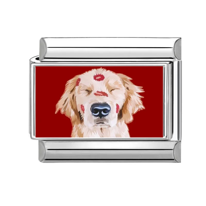 Zlatý retrívr s pusinakmi