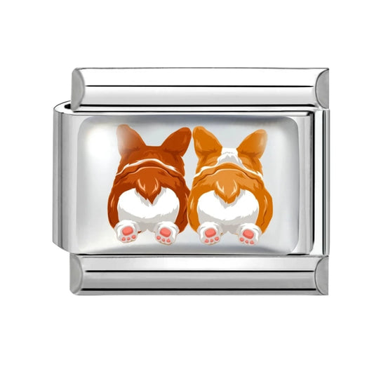 Pozadí dvou corgi psů