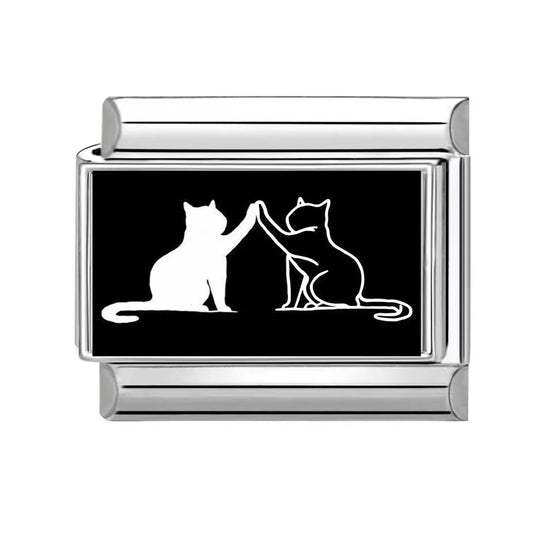 Černá a bílá kočka highfive