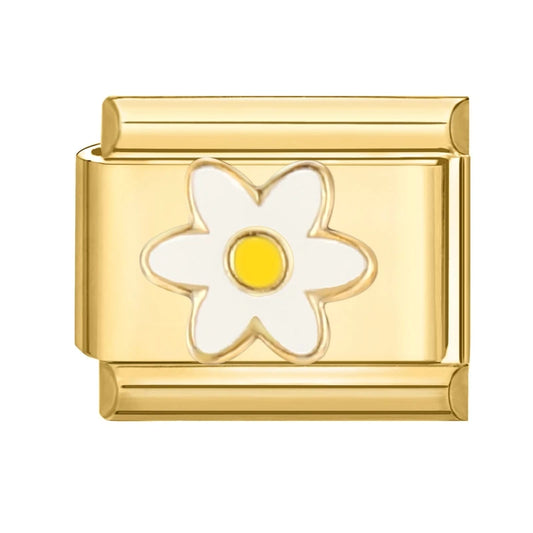 49152644579675