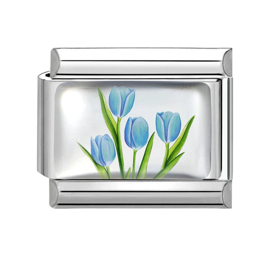 Modré tulipány