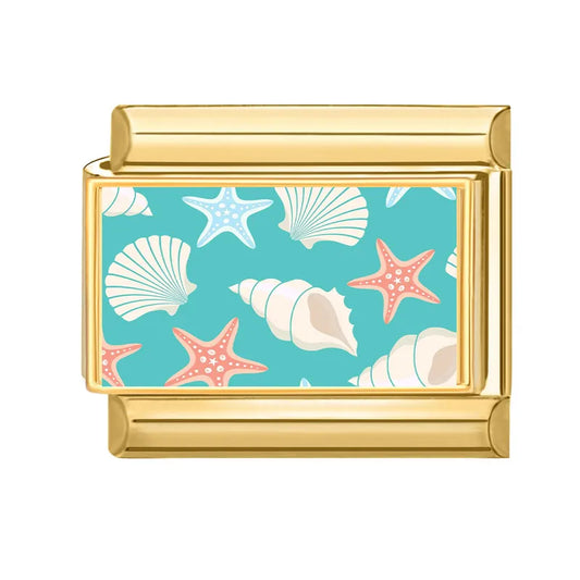 Mušle na tyrkysovém pozadí