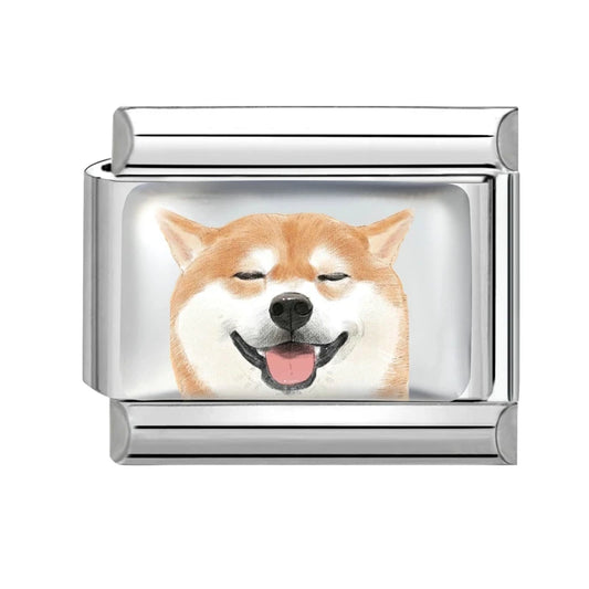 Shiba Inu